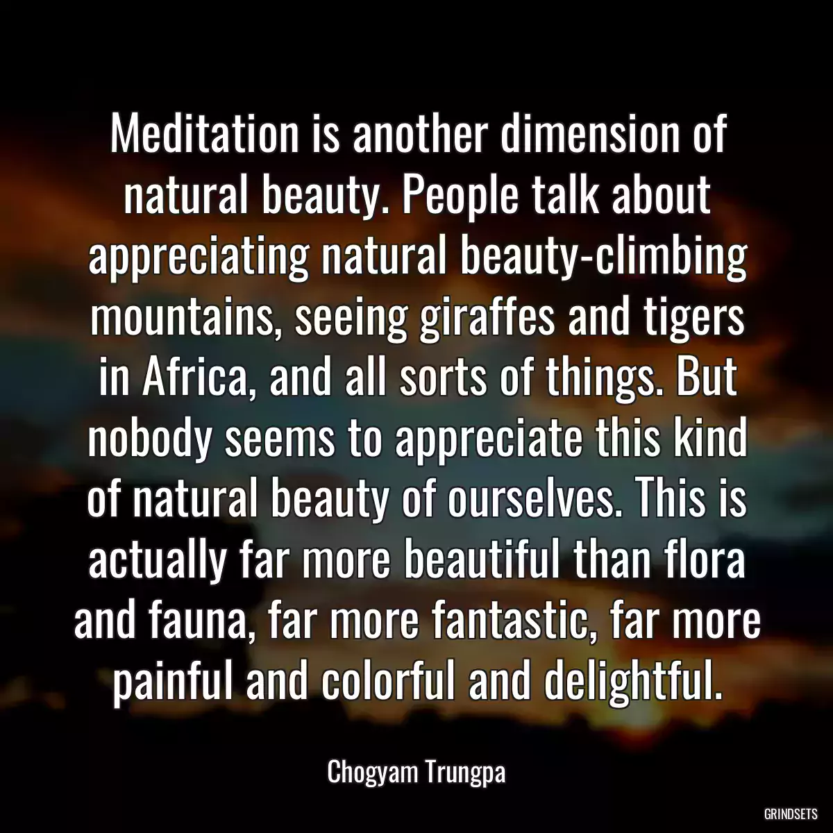 Meditation is another dimension of natural beauty. People talk about appreciating natural beauty-climbing mountains, seeing giraffes and tigers in Africa, and all sorts of things. But nobody seems to appreciate this kind of natural beauty of ourselves. This is actually far more beautiful than flora and fauna, far more fantastic, far more painful and colorful and delightful.