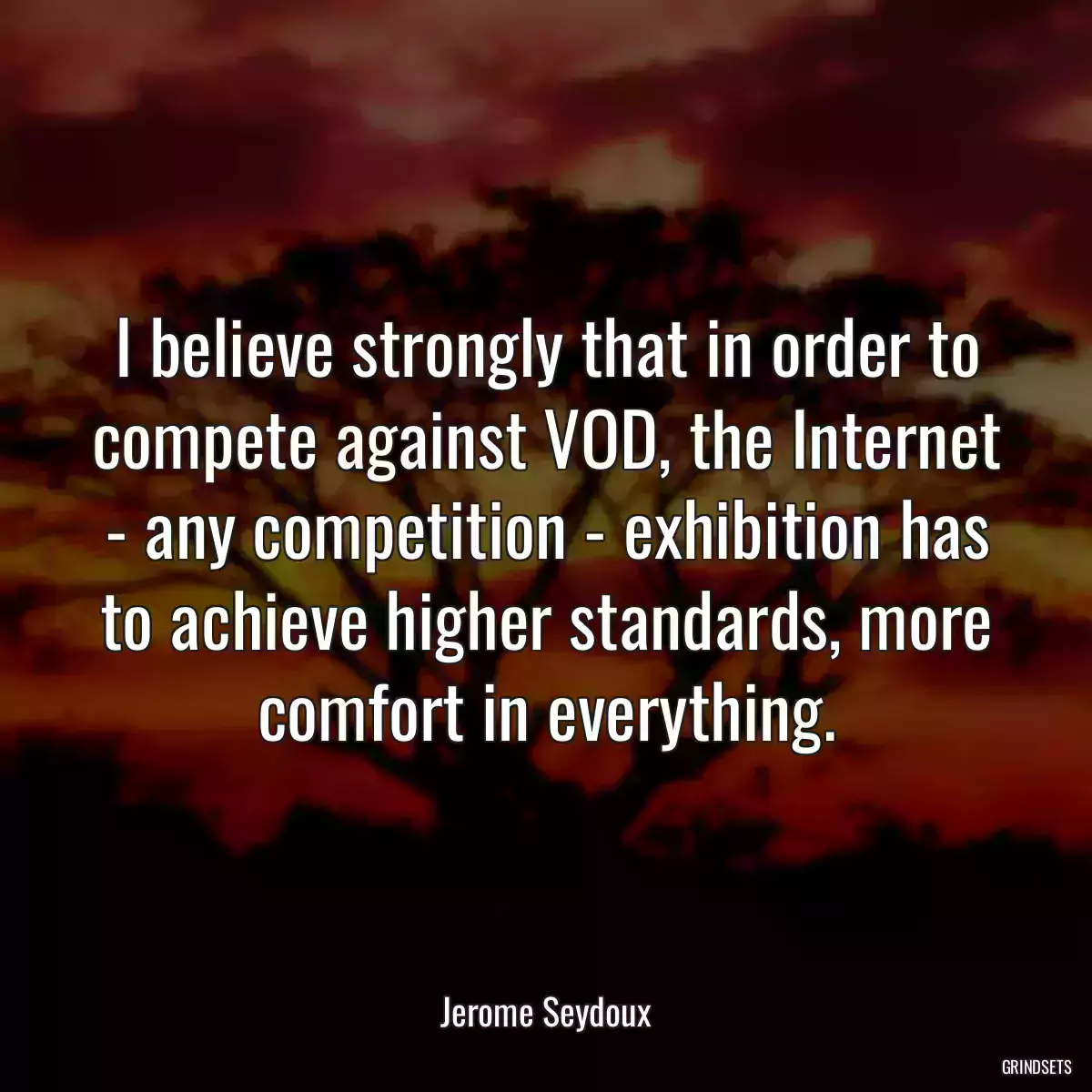 I believe strongly that in order to compete against VOD, the Internet - any competition - exhibition has to achieve higher standards, more comfort in everything.