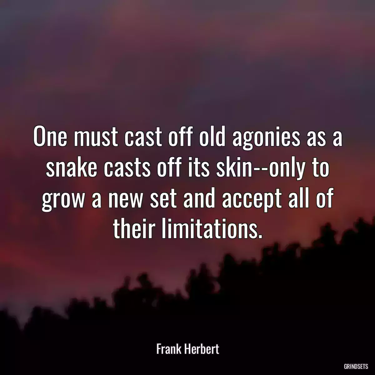 One must cast off old agonies as a snake casts off its skin--only to grow a new set and accept all of their limitations.