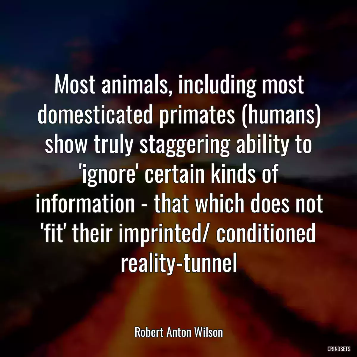 Most animals, including most domesticated primates (humans) show truly staggering ability to \'ignore\' certain kinds of information - that which does not \'fit\' their imprinted/ conditioned reality-tunnel