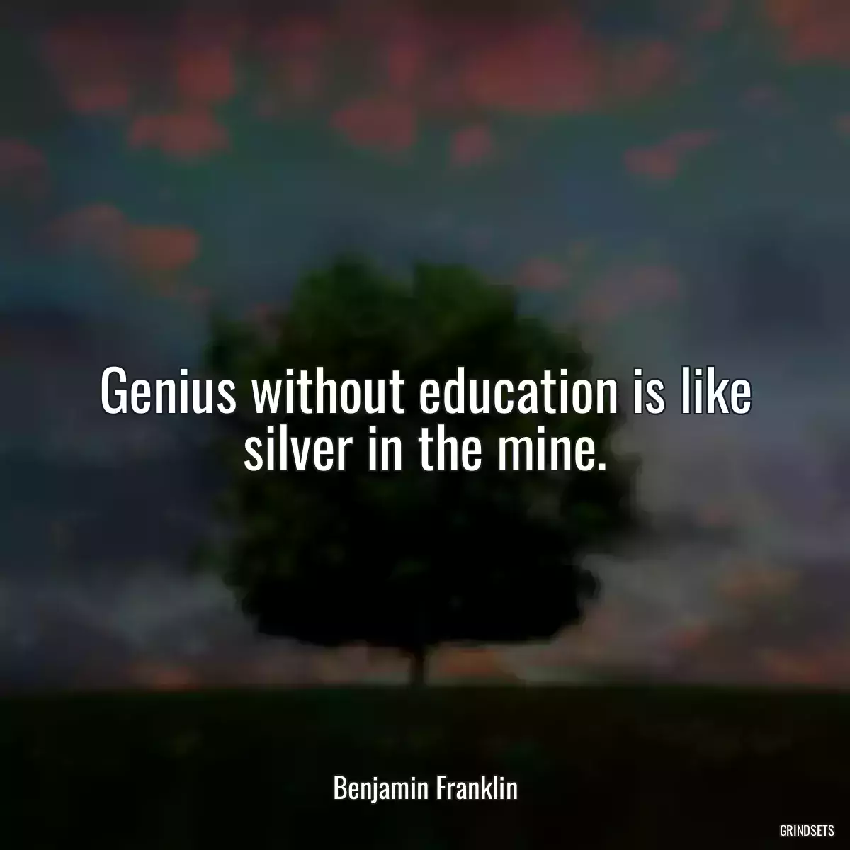 Genius without education is like silver in the mine.