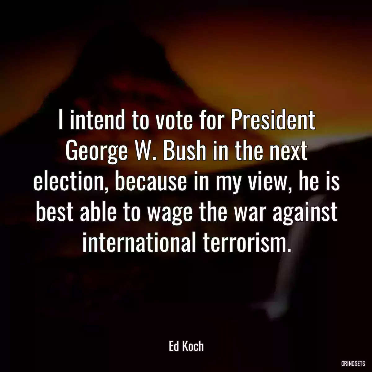 I intend to vote for President George W. Bush in the next election, because in my view, he is best able to wage the war against international terrorism.