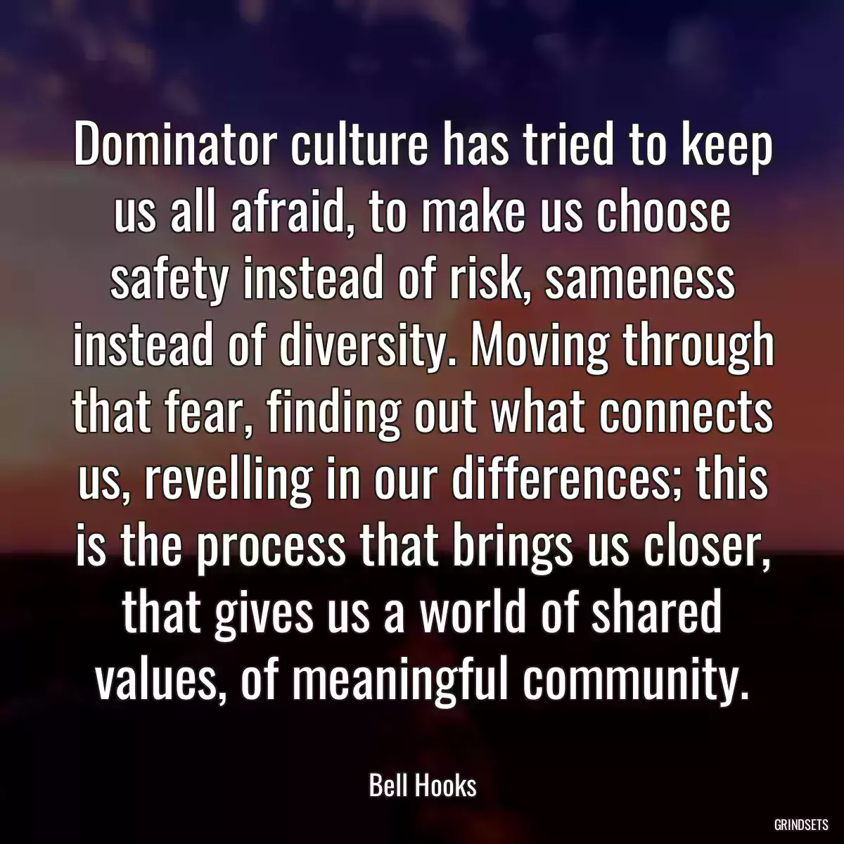 Dominator culture has tried to keep us all afraid, to make us choose safety instead of risk, sameness instead of diversity. Moving through that fear, finding out what connects us, revelling in our differences; this is the process that brings us closer, that gives us a world of shared values, of meaningful community.