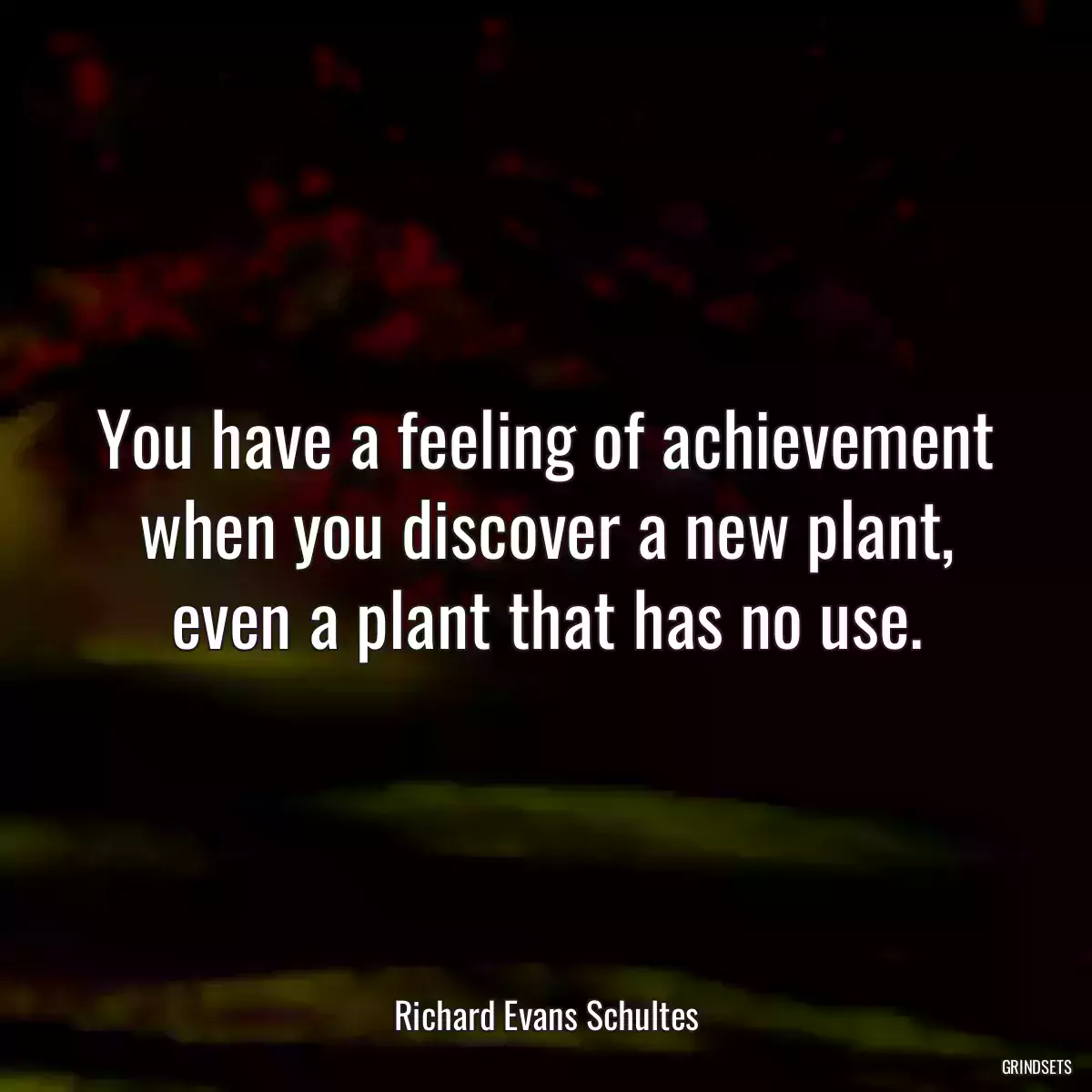 You have a feeling of achievement when you discover a new plant, even a plant that has no use.