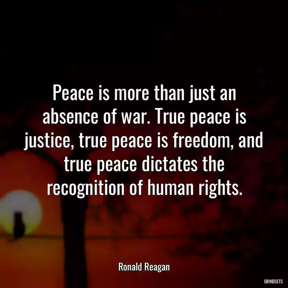 Peace is more than just an absence of war. True peace is justice, true peace is freedom, and true peace dictates the recognition of human rights.