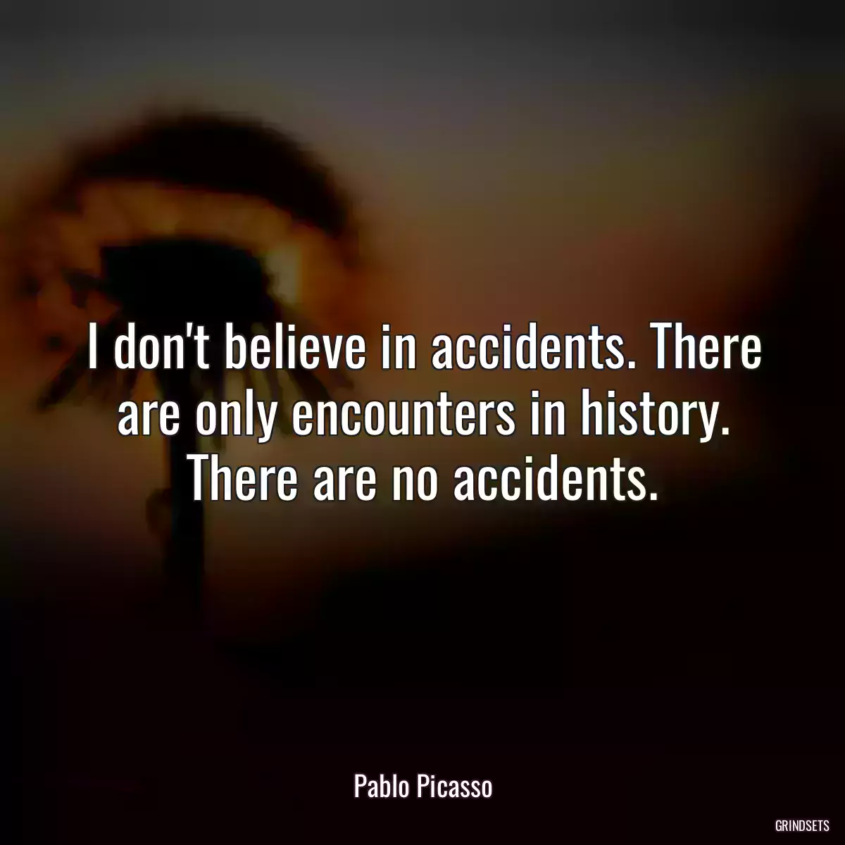 I don\'t believe in accidents. There are only encounters in history. There are no accidents.