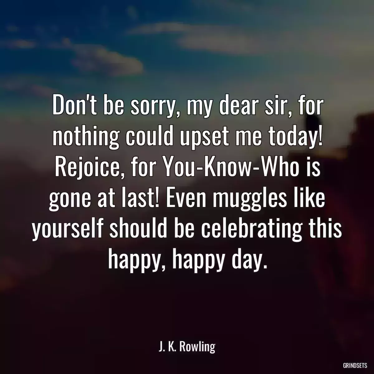 Don\'t be sorry, my dear sir, for nothing could upset me today! Rejoice, for You-Know-Who is gone at last! Even muggles like yourself should be celebrating this happy, happy day.