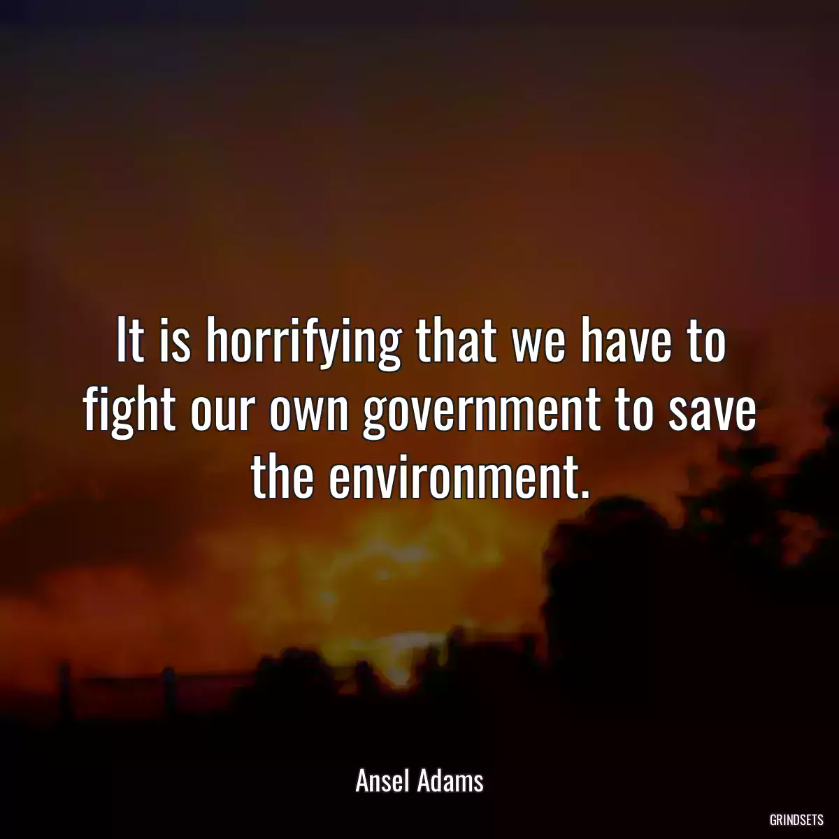 It is horrifying that we have to fight our own government to save the environment.