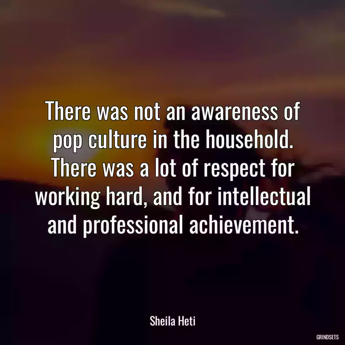 There was not an awareness of pop culture in the household. There was a lot of respect for working hard, and for intellectual and professional achievement.