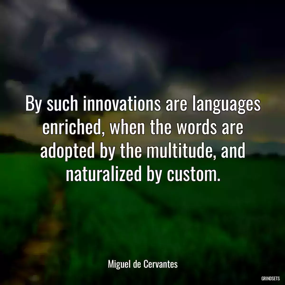 By such innovations are languages enriched, when the words are adopted by the multitude, and naturalized by custom.