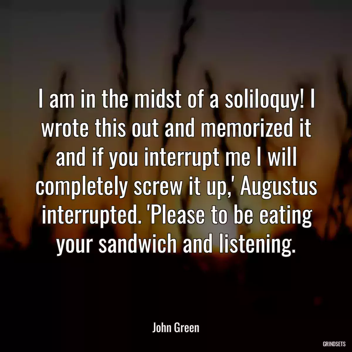 I am in the midst of a soliloquy! I wrote this out and memorized it and if you interrupt me I will completely screw it up,\' Augustus interrupted. \'Please to be eating your sandwich and listening.