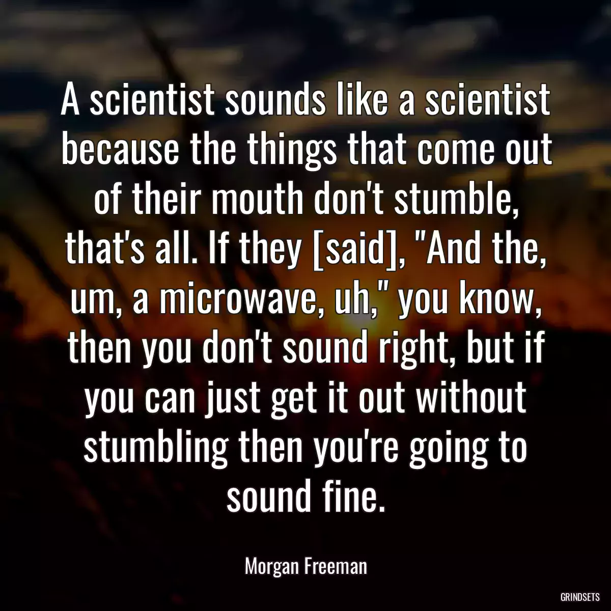 A scientist sounds like a scientist because the things that come out of their mouth don\'t stumble, that\'s all. If they [said], \