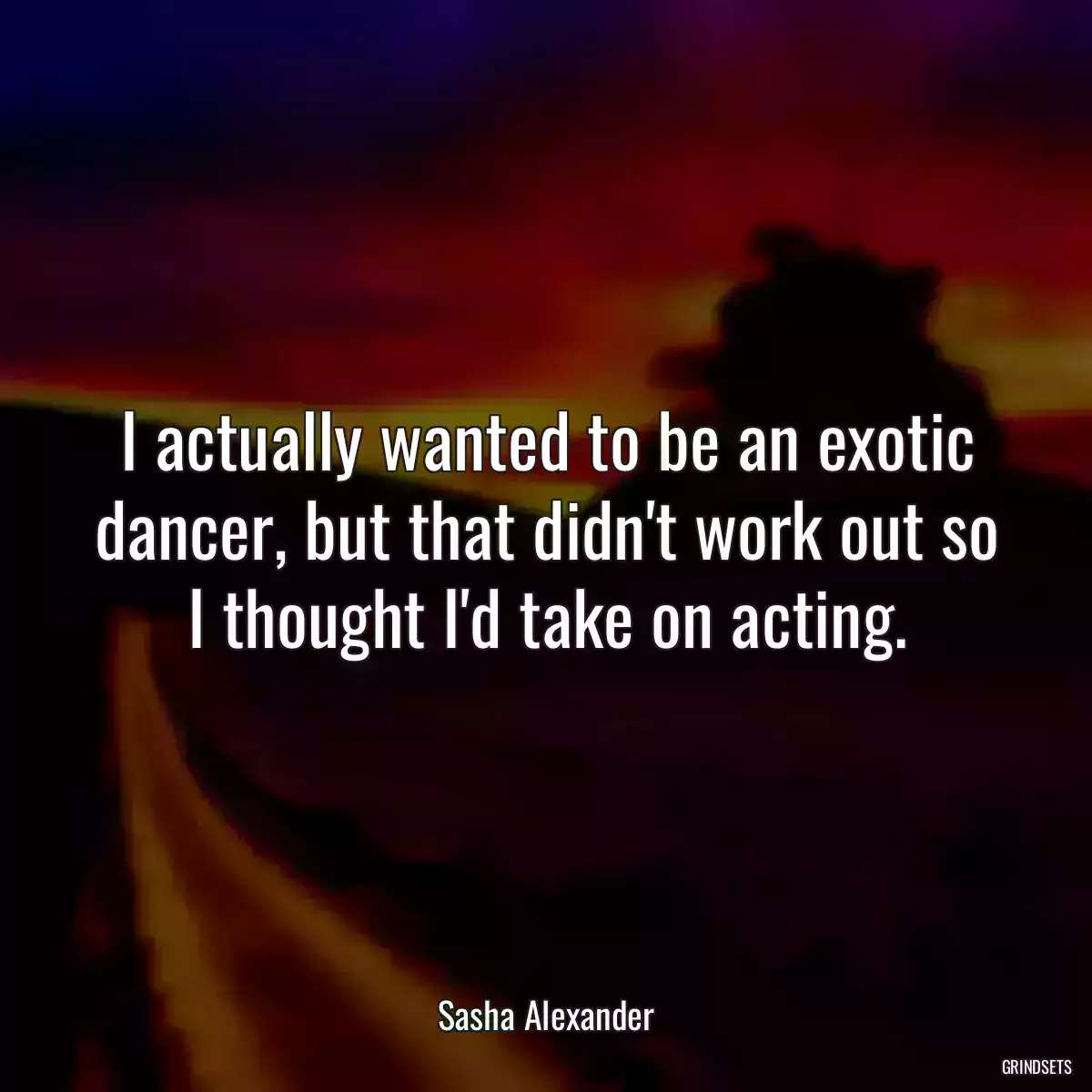 I actually wanted to be an exotic dancer, but that didn\'t work out so I thought I\'d take on acting.