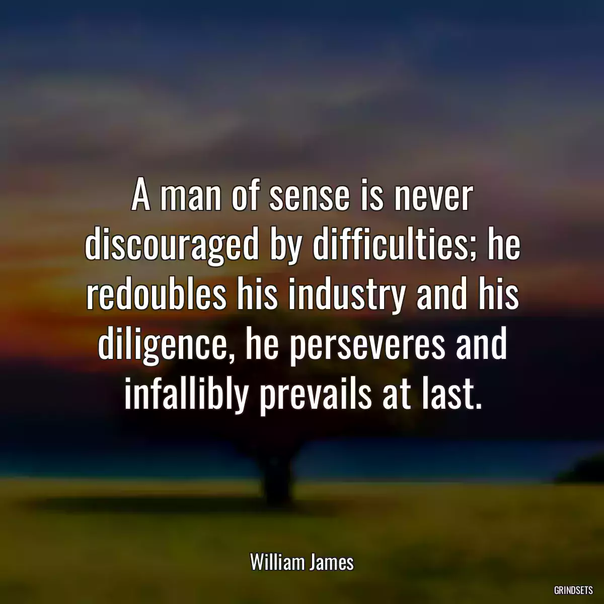 A man of sense is never discouraged by difficulties; he redoubles his industry and his diligence, he perseveres and infallibly prevails at last.