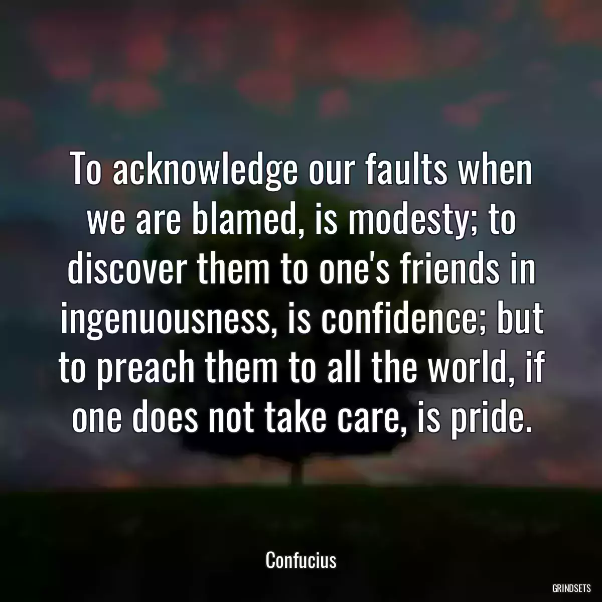 To acknowledge our faults when we are blamed, is modesty; to discover them to one\'s friends in ingenuousness, is confidence; but to preach them to all the world, if one does not take care, is pride.