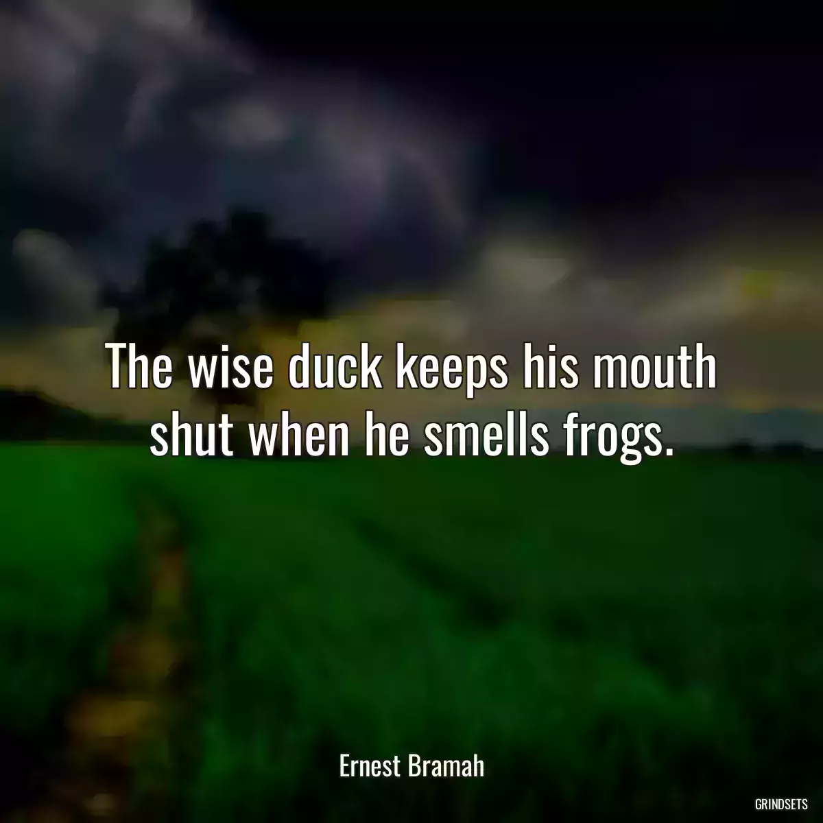 The wise duck keeps his mouth shut when he smells frogs.