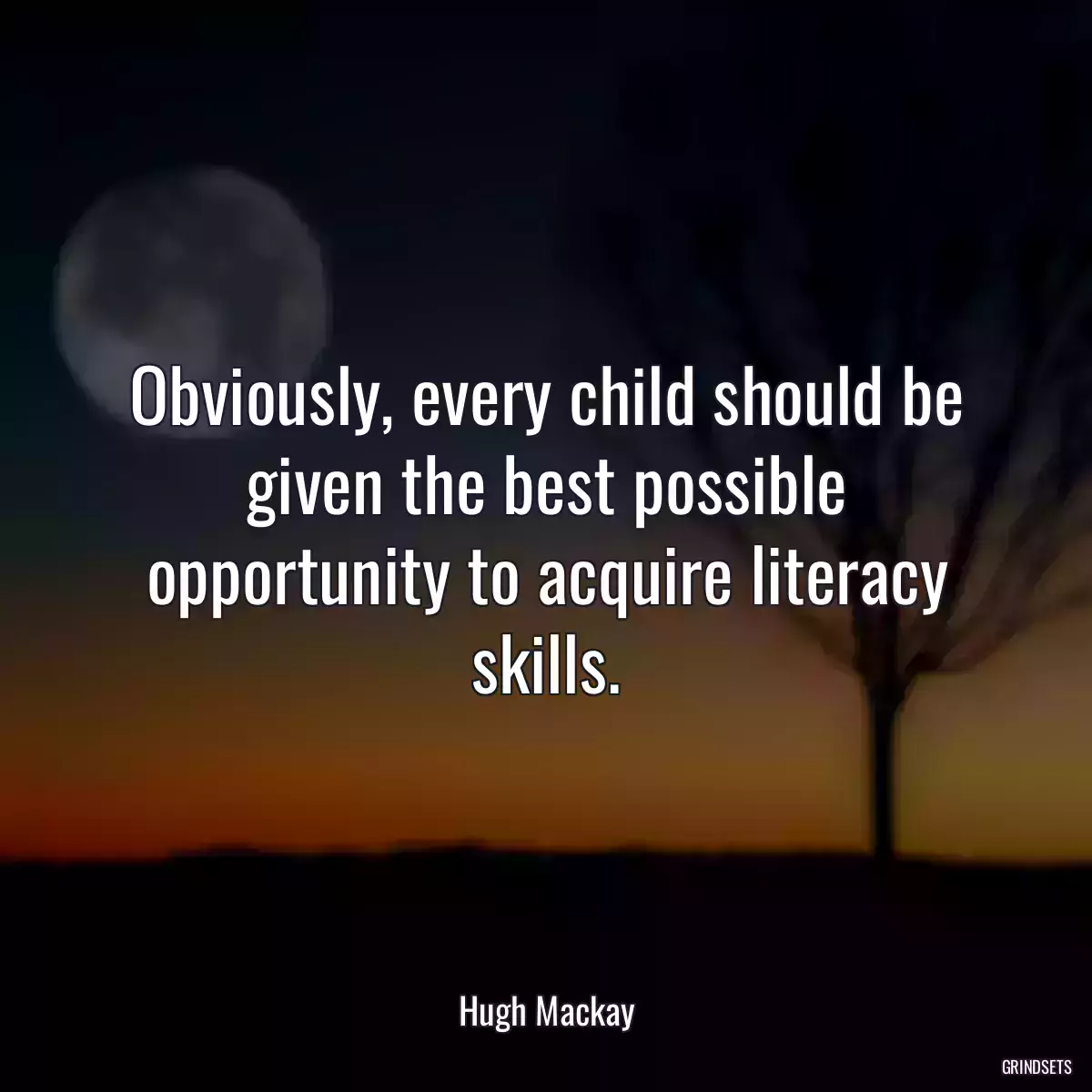 Obviously, every child should be given the best possible opportunity to acquire literacy skills.