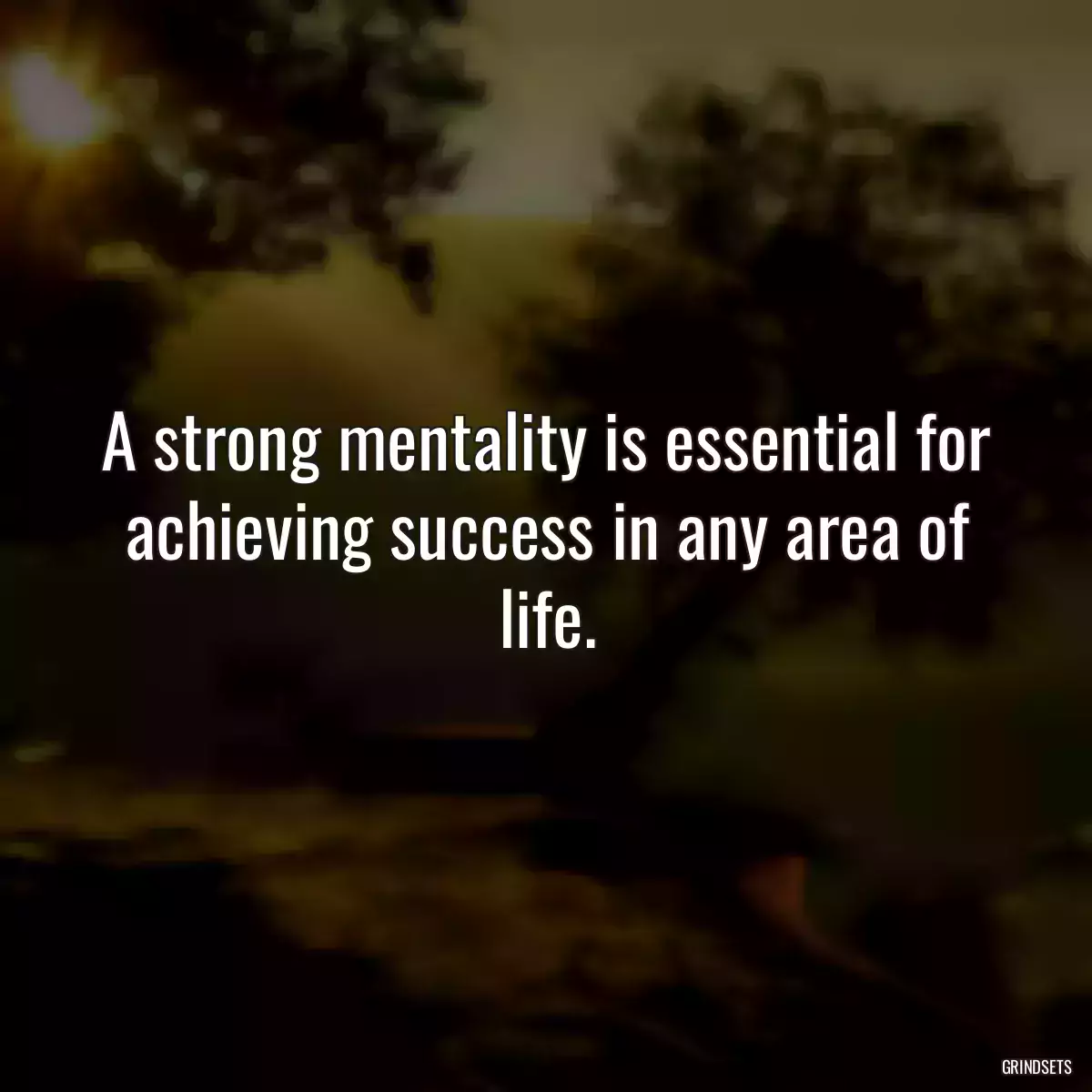 A strong mentality is essential for achieving success in any area of life.