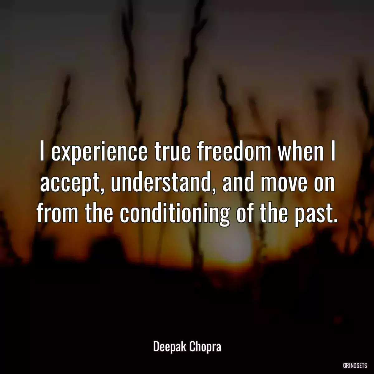 I experience true freedom when I accept, understand, and move on from the conditioning of the past.