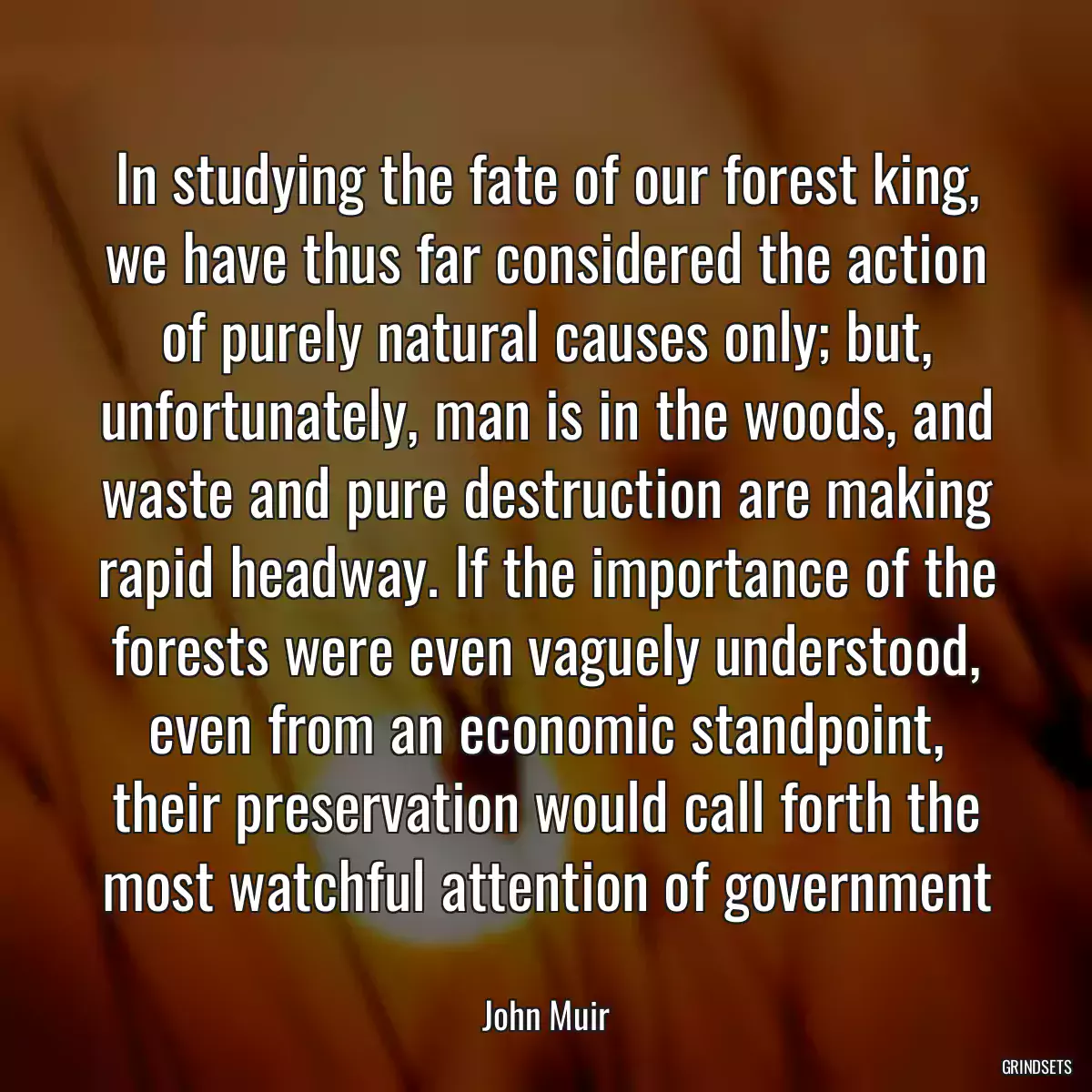 In studying the fate of our forest king, we have thus far considered the action of purely natural causes only; but, unfortunately, man is in the woods, and waste and pure destruction are making rapid headway. If the importance of the forests were even vaguely understood, even from an economic standpoint, their preservation would call forth the most watchful attention of government