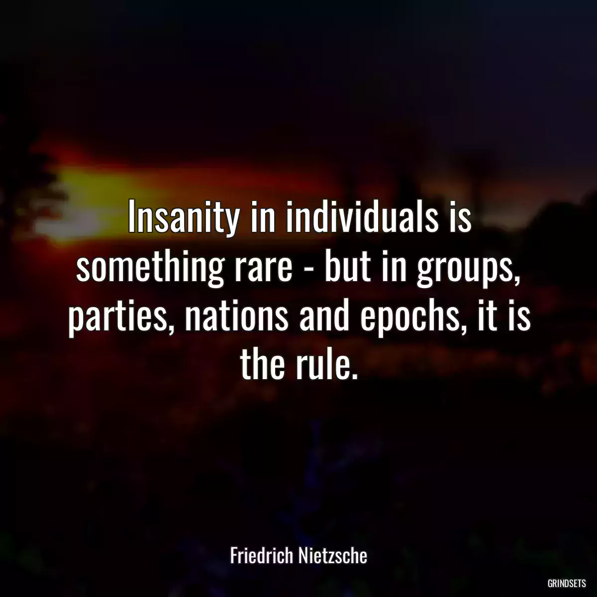 Insanity in individuals is something rare - but in groups, parties, nations and epochs, it is the rule.