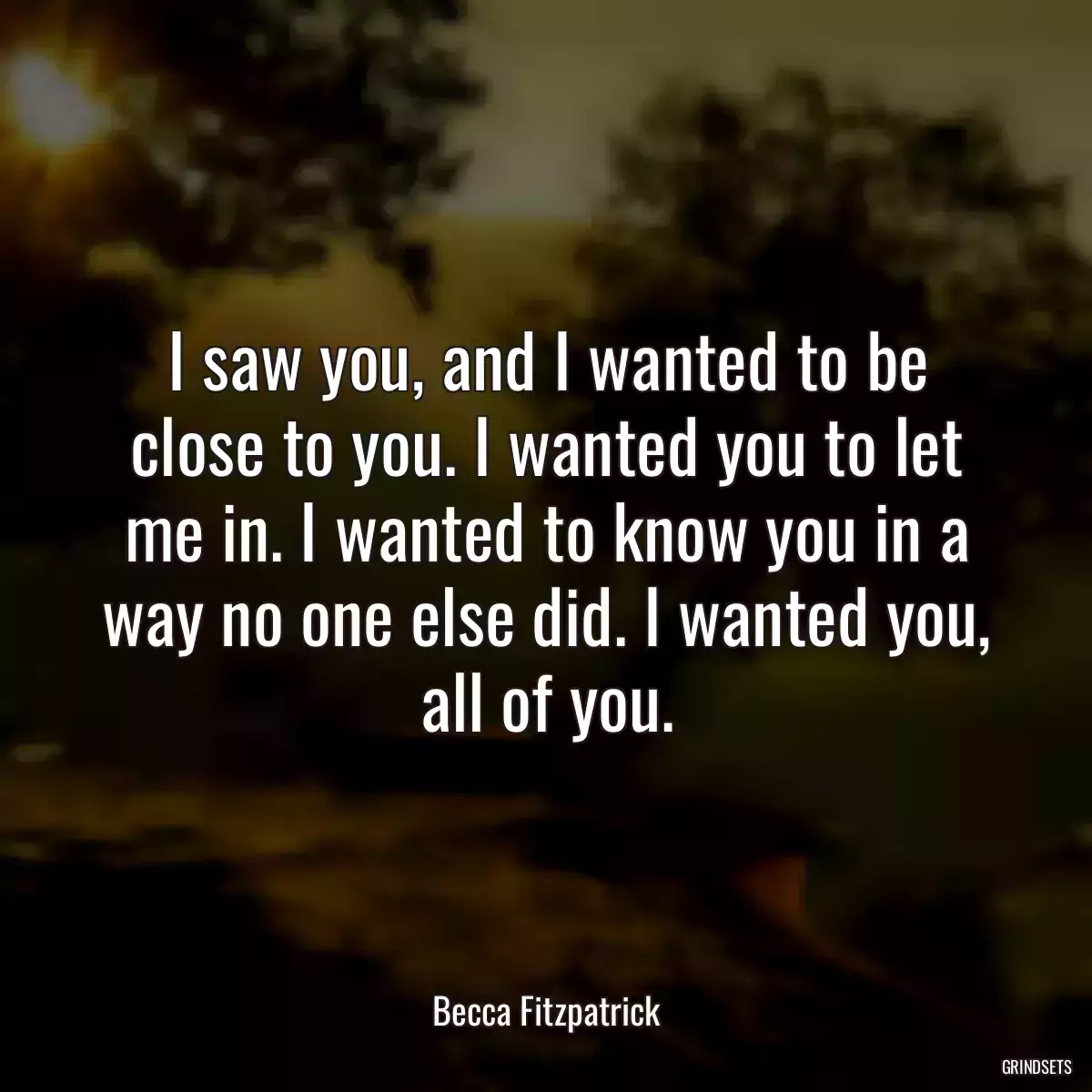 I saw you, and I wanted to be close to you. I wanted you to let me in. I wanted to know you in a way no one else did. I wanted you, all of you.