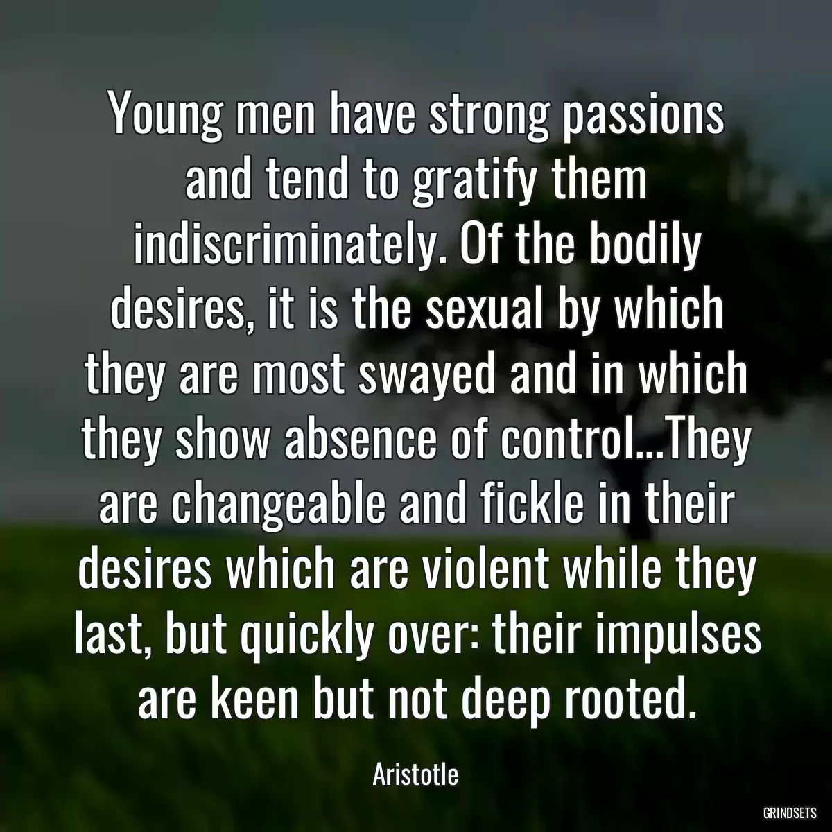 Young men have strong passions and tend to gratify them indiscriminately. Of the bodily desires, it is the sexual by which they are most swayed and in which they show absence of control...They are changeable and fickle in their desires which are violent while they last, but quickly over: their impulses are keen but not deep rooted.
