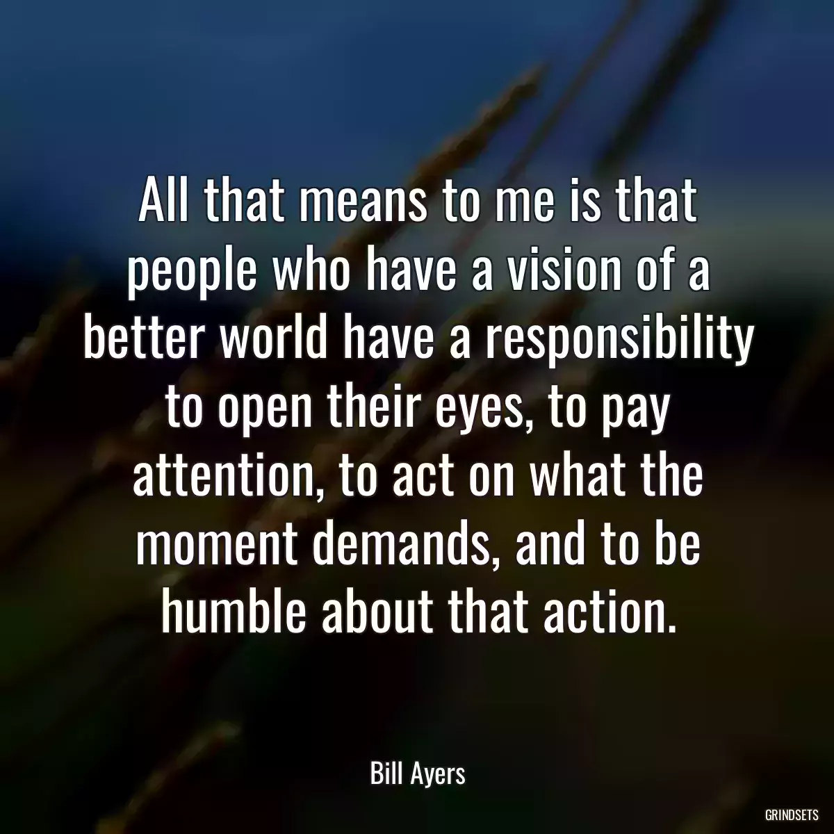 All that means to me is that people who have a vision of a better world have a responsibility to open their eyes, to pay attention, to act on what the moment demands, and to be humble about that action.