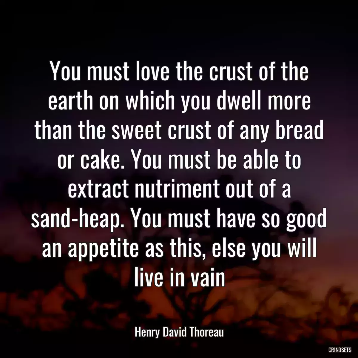 You must love the crust of the earth on which you dwell more than the sweet crust of any bread or cake. You must be able to extract nutriment out of a sand-heap. You must have so good an appetite as this, else you will live in vain