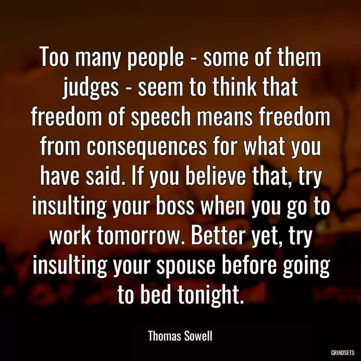 Too many people - some of them judges - seem to think that freedom of speech means freedom from consequences for what you have said. If you believe that, try insulting your boss when you go to work tomorrow. Better yet, try insulting your spouse before going to bed tonight.
