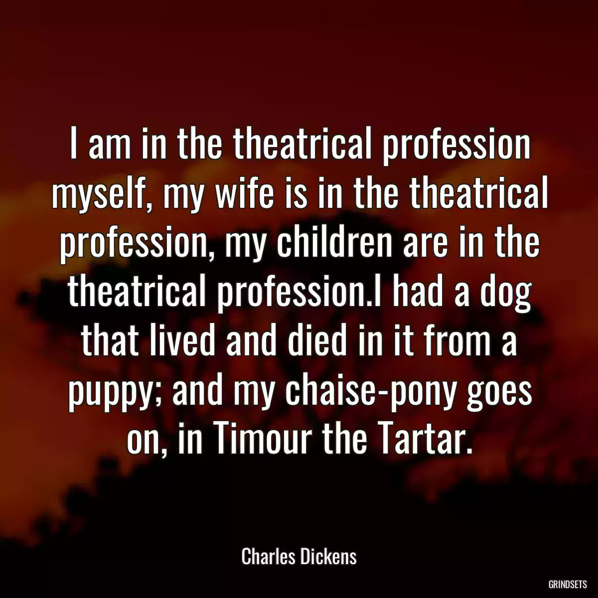 I am in the theatrical profession myself, my wife is in the theatrical profession, my children are in the theatrical profession.I had a dog that lived and died in it from a puppy; and my chaise-pony goes on, in Timour the Tartar.