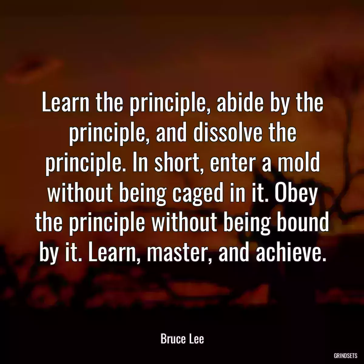 Learn the principle, abide by the principle, and dissolve the principle. In short, enter a mold without being caged in it. Obey the principle without being bound by it. Learn, master, and achieve.