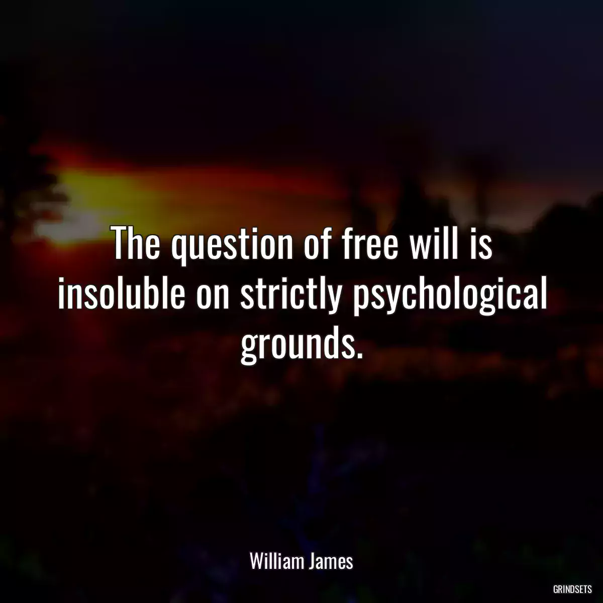 The question of free will is insoluble on strictly psychological grounds.