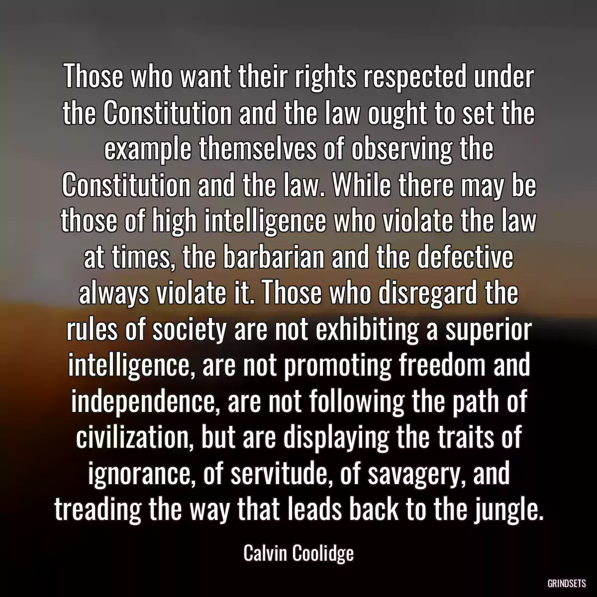 Those who want their rights respected under the Constitution and the law ought to set the example themselves of observing the Constitution and the law. While there may be those of high intelligence who violate the law at times, the barbarian and the defective always violate it. Those who disregard the rules of society are not exhibiting a superior intelligence, are not promoting freedom and independence, are not following the path of civilization, but are displaying the traits of ignorance, of servitude, of savagery, and treading the way that leads back to the jungle.