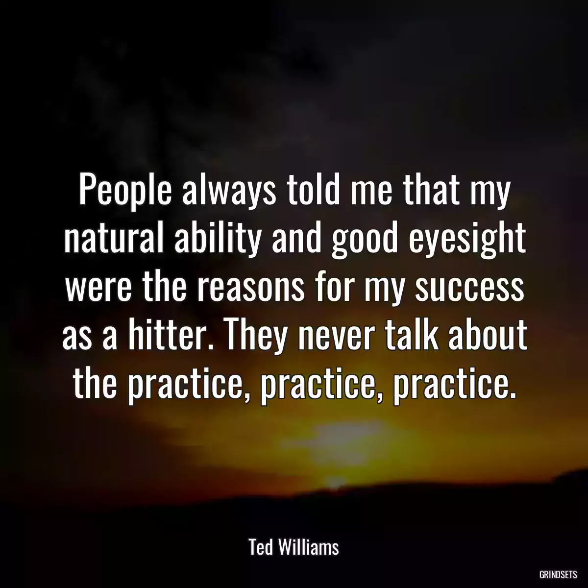 People always told me that my natural ability and good eyesight were the reasons for my success as a hitter. They never talk about the practice, practice, practice.