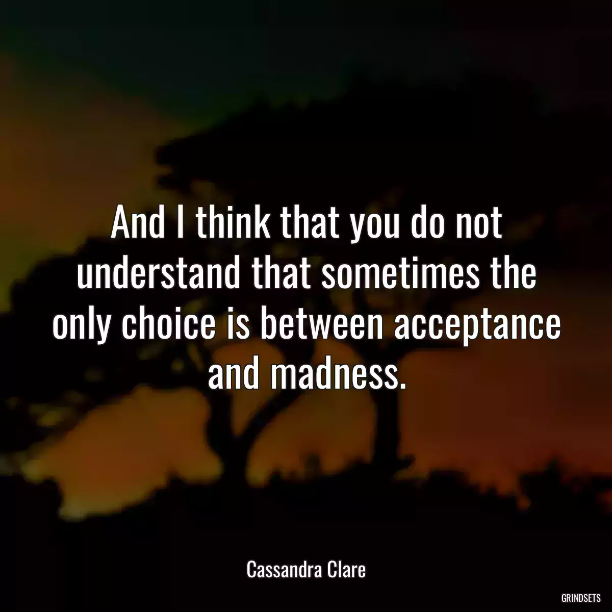 And I think that you do not understand that sometimes the only choice is between acceptance and madness.