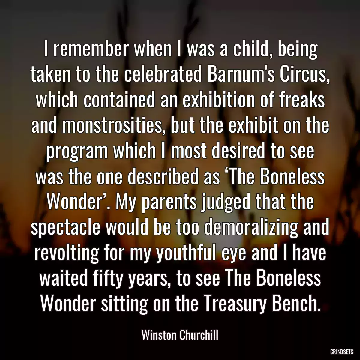 I remember when I was a child, being taken to the celebrated Barnum\'s Circus, which contained an exhibition of freaks and monstrosities, but the exhibit on the program which I most desired to see was the one described as ‘The Boneless Wonder’. My parents judged that the spectacle would be too demoralizing and revolting for my youthful eye and I have waited fifty years, to see The Boneless Wonder sitting on the Treasury Bench.