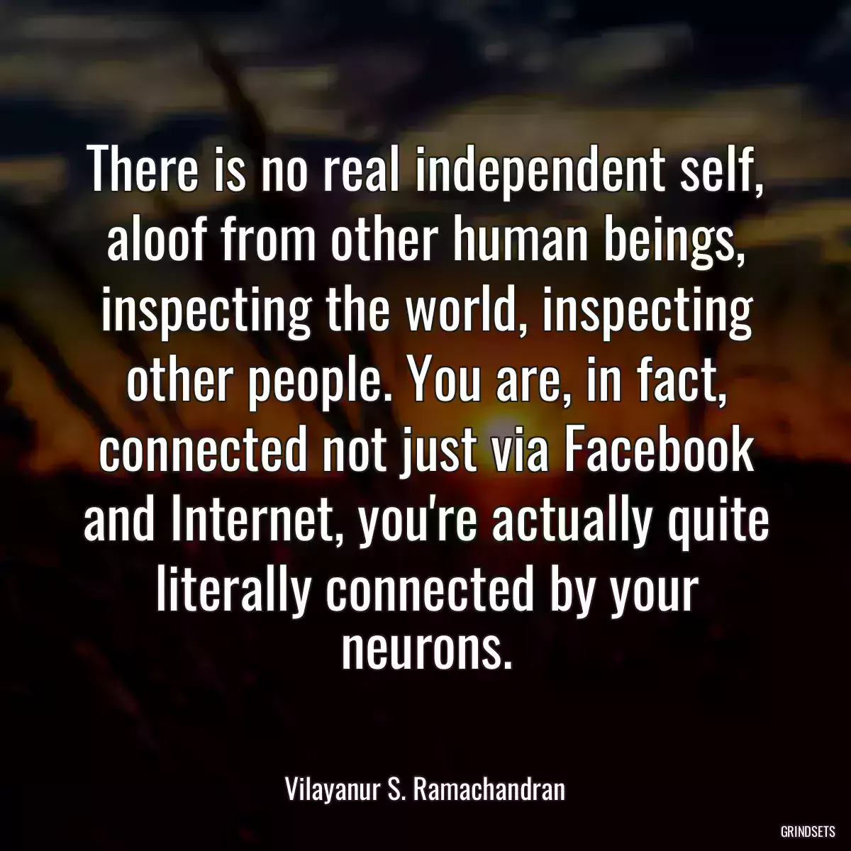 There is no real independent self, aloof from other human beings, inspecting the world, inspecting other people. You are, in fact, connected not just via Facebook and Internet, you\'re actually quite literally connected by your neurons.