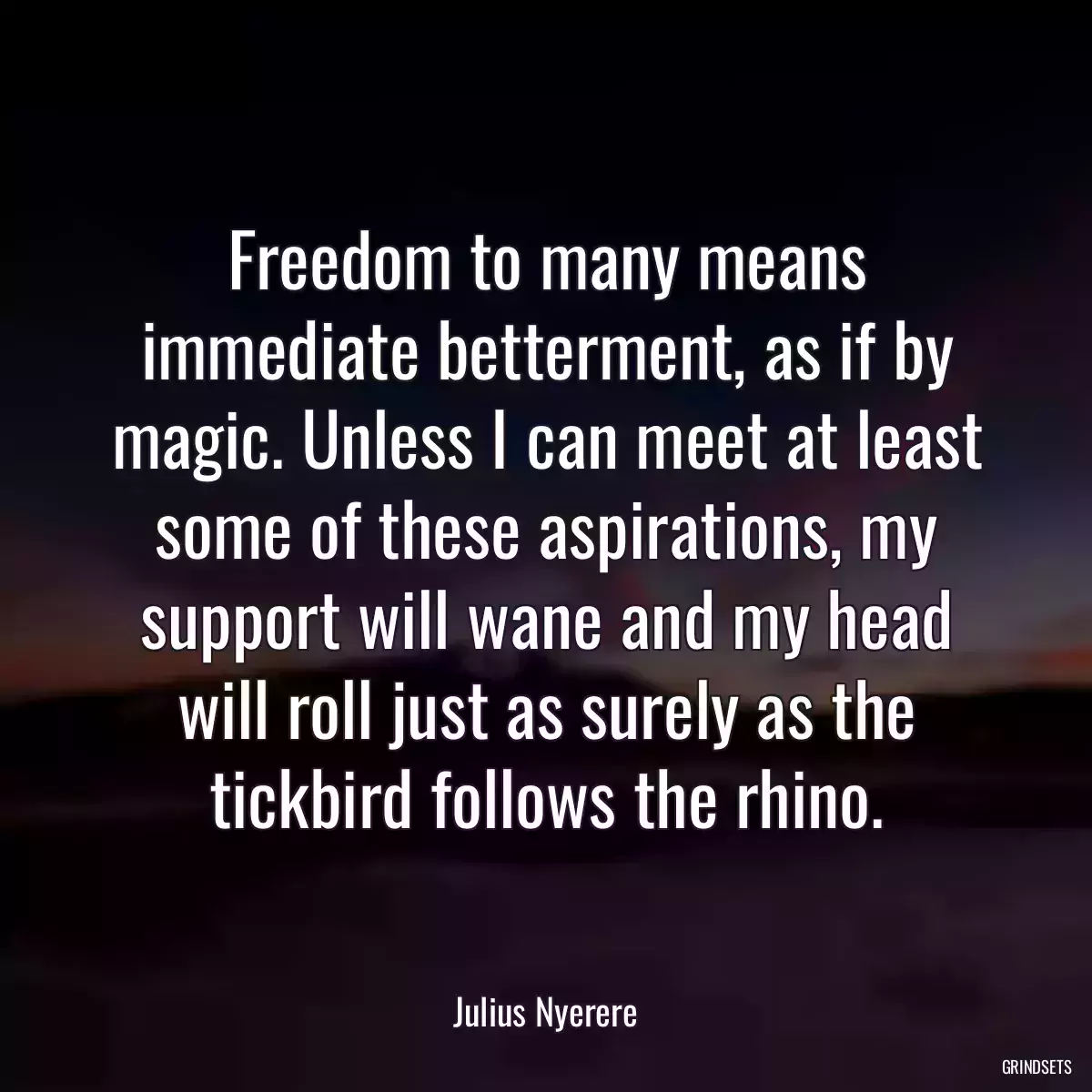 Freedom to many means immediate betterment, as if by magic. Unless I can meet at least some of these aspirations, my support will wane and my head will roll just as surely as the tickbird follows the rhino.