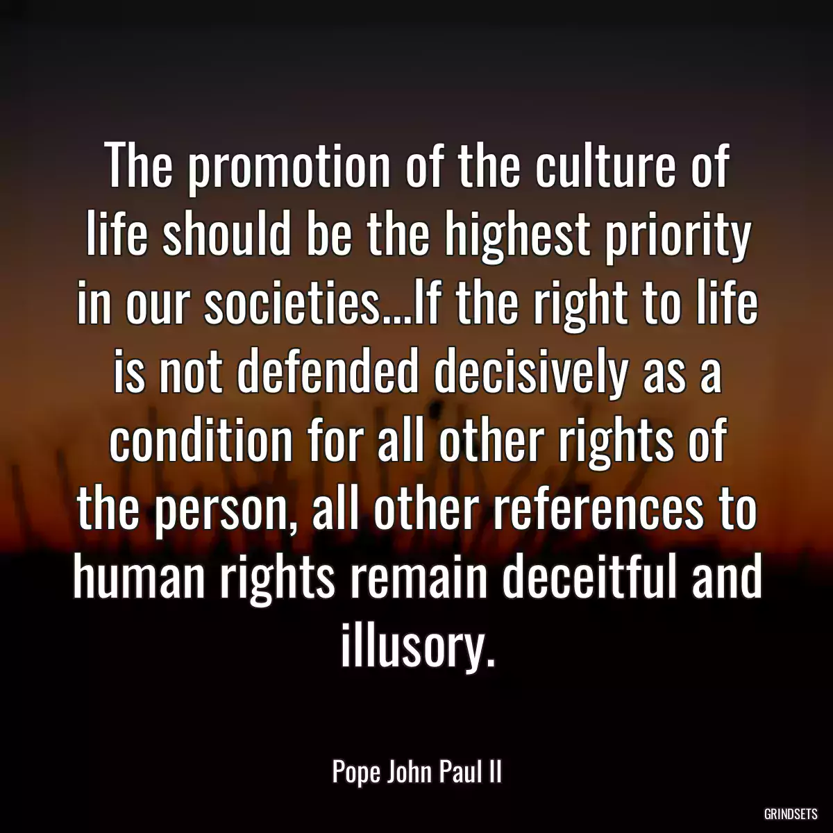 The promotion of the culture of life should be the highest priority in our societies...If the right to life is not defended decisively as a condition for all other rights of the person, all other references to human rights remain deceitful and illusory.