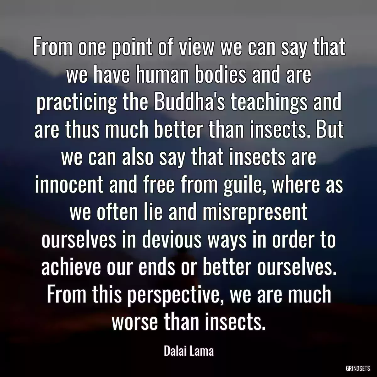 From one point of view we can say that we have human bodies and are practicing the Buddha\'s teachings and are thus much better than insects. But we can also say that insects are innocent and free from guile, where as we often lie and misrepresent ourselves in devious ways in order to achieve our ends or better ourselves. From this perspective, we are much worse than insects.