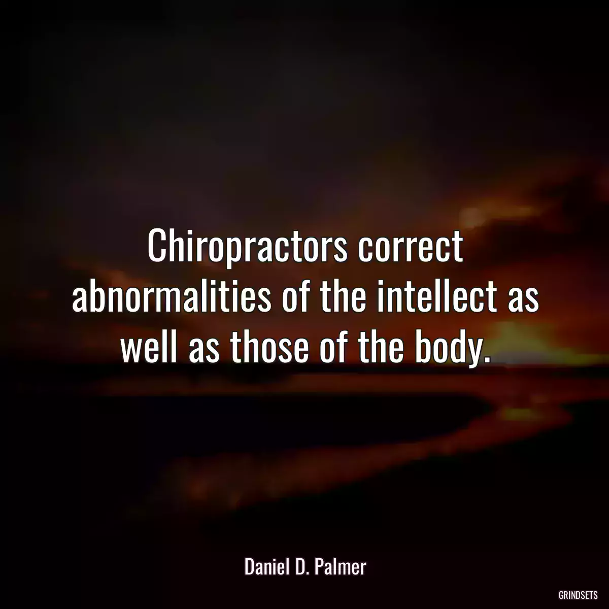 Chiropractors correct abnormalities of the intellect as well as those of the body.