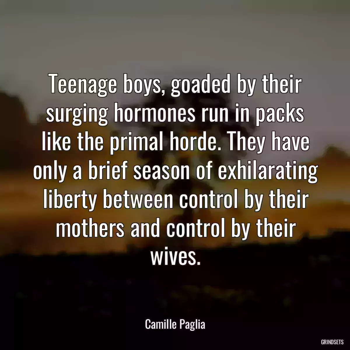 Teenage boys, goaded by their surging hormones run in packs like the primal horde. They have only a brief season of exhilarating liberty between control by their mothers and control by their wives.