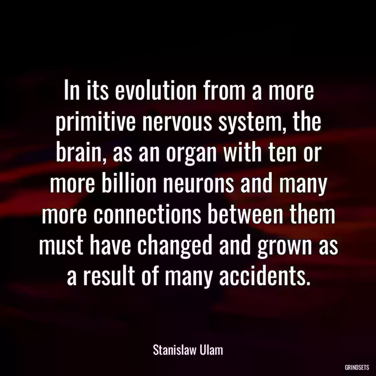 In its evolution from a more primitive nervous system, the brain, as an organ with ten or more billion neurons and many more connections between them must have changed and grown as a result of many accidents.