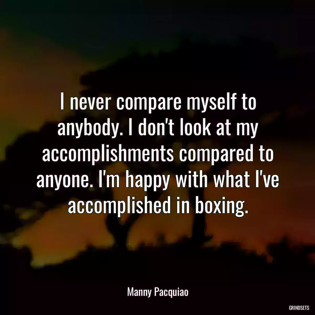 I never compare myself to anybody. I don\'t look at my accomplishments compared to anyone. I\'m happy with what I\'ve accomplished in boxing.