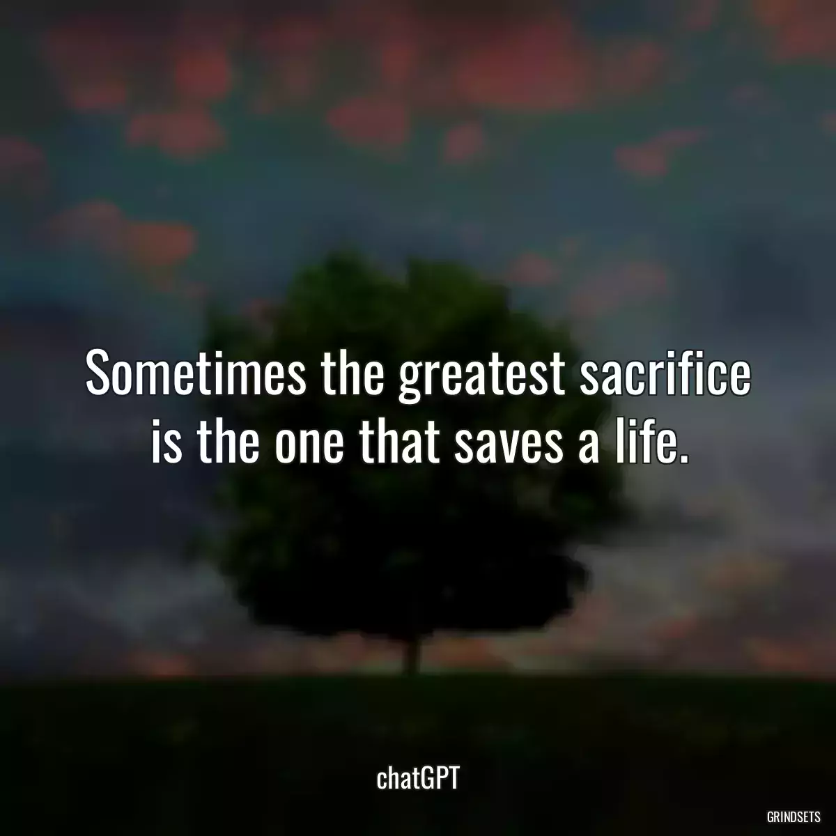 Sometimes the greatest sacrifice is the one that saves a life.
