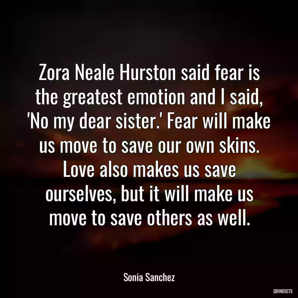 Zora Neale Hurston said fear is the greatest emotion and I said, \'No my dear sister.\' Fear will make us move to save our own skins. Love also makes us save ourselves, but it will make us move to save others as well.