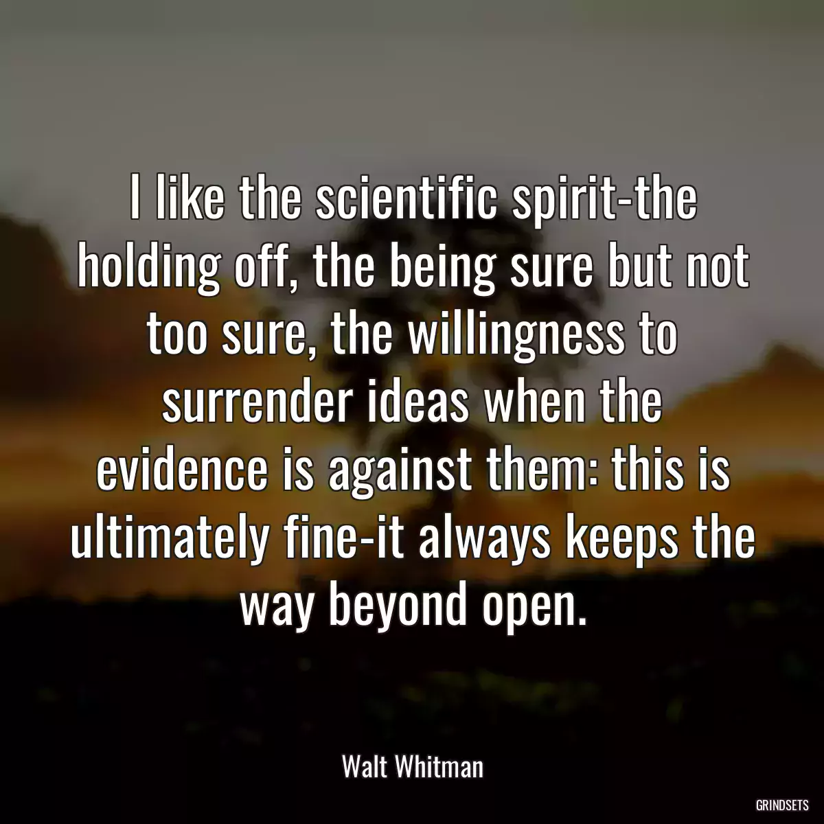 I like the scientific spirit-the holding off, the being sure but not too sure, the willingness to surrender ideas when the evidence is against them: this is ultimately fine-it always keeps the way beyond open.