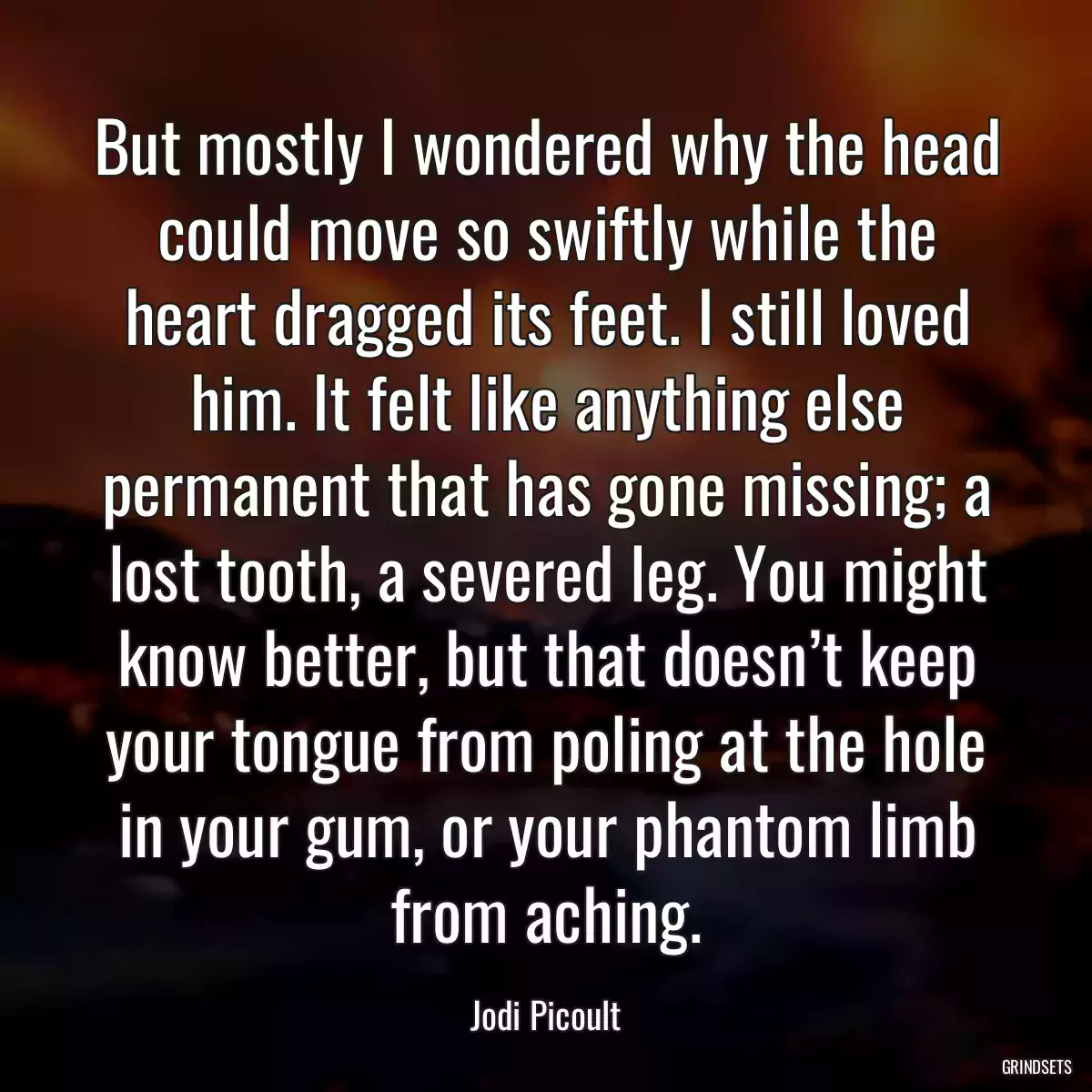 But mostly I wondered why the head could move so swiftly while the heart dragged its feet. I still loved him. It felt like anything else permanent that has gone missing; a lost tooth, a severed leg. You might know better, but that doesn’t keep your tongue from poling at the hole in your gum, or your phantom limb from aching.