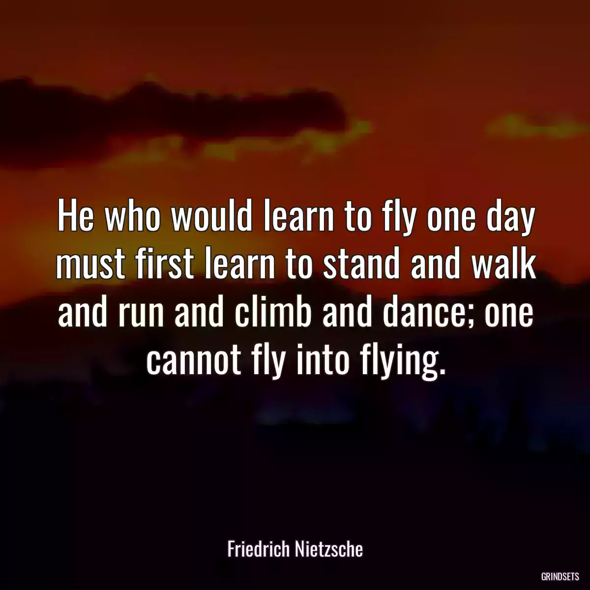 He who would learn to fly one day must first learn to stand and walk and run and climb and dance; one cannot fly into flying.